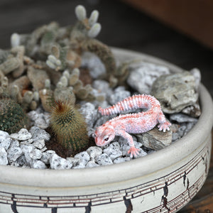 レオパード ゲッコー ベイビーのリアルな生きもの造形マグネット REPTILES MAG LEOPARD GECKO BABY（レプタイルズ マグ レオパード ゲッコー ベイビー）