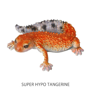 レオパード ゲッコー ベイビーのリアルな生きもの造形マグネット REPTILES MAG LEOPARD GECKO BABY（レプタイルズ マグ レオパード ゲッコー ベイビー）