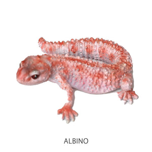 レオパード ゲッコー ベイビーのリアルな生きもの造形マグネット REPTILES MAG LEOPARD GECKO BABY（レプタイルズ マグ レオパード ゲッコー ベイビー）
