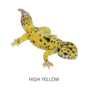 ヒョウモントカゲモドキのリアルな生きもの造形マグネット REPTILES MAG LEOPARD GECKO（レプタイルズ マグ レオパードゲッコー）