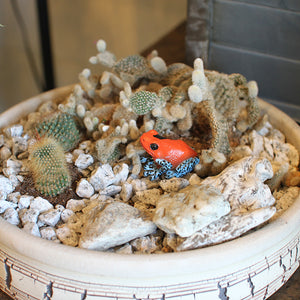 イチゴヤドクガエルのリアルな生きもの造形マグネット REPTILES MAG STRAWBERRY POISON DART FROG（レプタイルズ マグ ストロベリー ポイズンダートフロッグ）