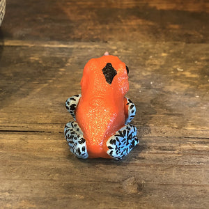 イチゴヤドクガエルのリアルな生きもの造形マグネット REPTILES MAG STRAWBERRY POISON DART FROG（レプタイルズ マグ ストロベリー ポイズンダートフロッグ）