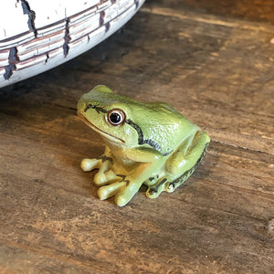 アマガエルのリアルな生きもの造形マグネット REPTILES MAG TREE FROG（レプタイルズ マグ ツリーフロッグ）