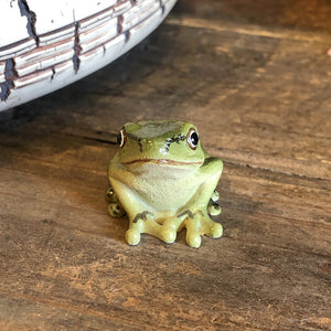 アマガエルのリアルな生きもの造形マグネット REPTILES MAG TREE FROG（レプタイルズ マグ ツリーフロッグ）