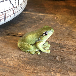アマガエルのリアルな生きもの造形マグネット REPTILES MAG TREE FROG（レプタイルズ マグ ツリーフロッグ）
