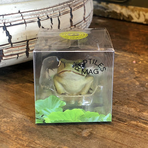 アマガエルのリアルな生きもの造形マグネット REPTILES MAG TREE FROG（レプタイルズ マグ ツリーフロッグ）