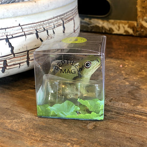 アマガエルのリアルな生きもの造形マグネット REPTILES MAG TREE FROG（レプタイルズ マグ ツリーフロッグ）