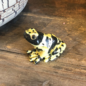 キオビヤドクガエルのリアルな生きもの造形マグネット REPTILES MAG YELLOW-BANDED POISON DART FROG（レプタイルズ マグ イエロー ポイズンダートフロッグ）
