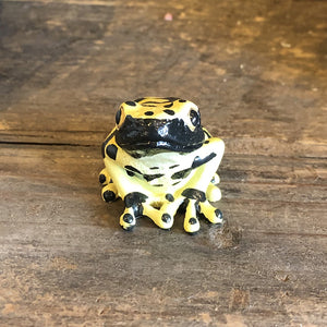 キオビヤドクガエルのリアルな生きもの造形マグネット REPTILES MAG YELLOW-BANDED POISON DART FROG（レプタイルズ マグ イエロー ポイズンダートフロッグ）