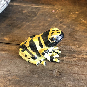 キオビヤドクガエルのリアルな生きもの造形マグネット REPTILES MAG YELLOW-BANDED POISON DART FROG（レプタイルズ マグ イエロー ポイズンダートフロッグ）