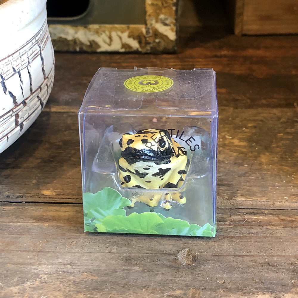 キオビヤドクガエルのリアルな生きもの造形マグネット REPTILES MAG