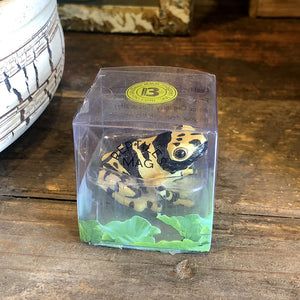 キオビヤドクガエルのリアルな生きもの造形マグネット REPTILES MAG YELLOW-BANDED POISON DART FROG（レプタイルズ マグ イエロー ポイズンダートフロッグ）
