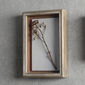 植物を飾れば標本が出来上がるフレーム Specimen Frame（スペシメンフレーム）