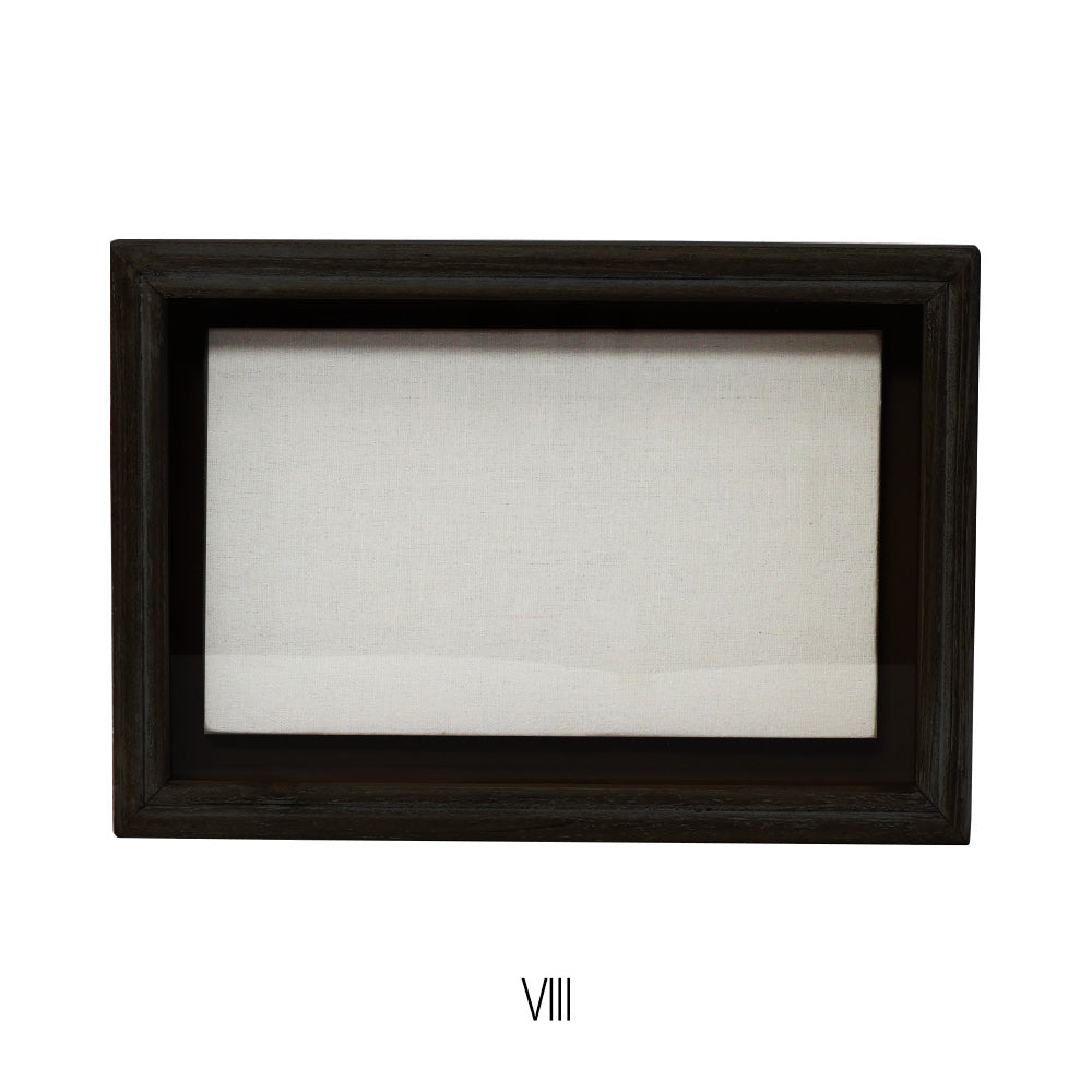 植物を飾れば標本が出来上がるフレーム Specimen Frame（スペシメン