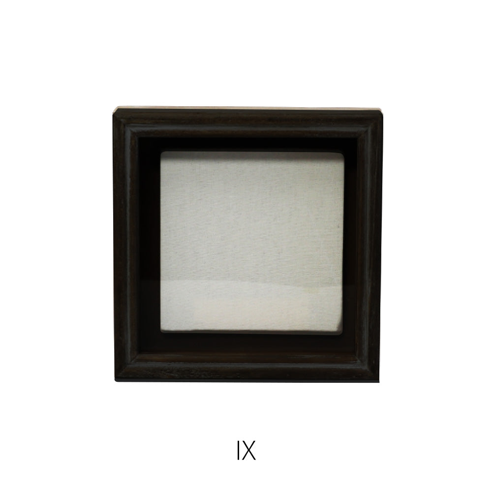 植物を飾れば標本が出来上がるフレーム Specimen Frame（スペシメン