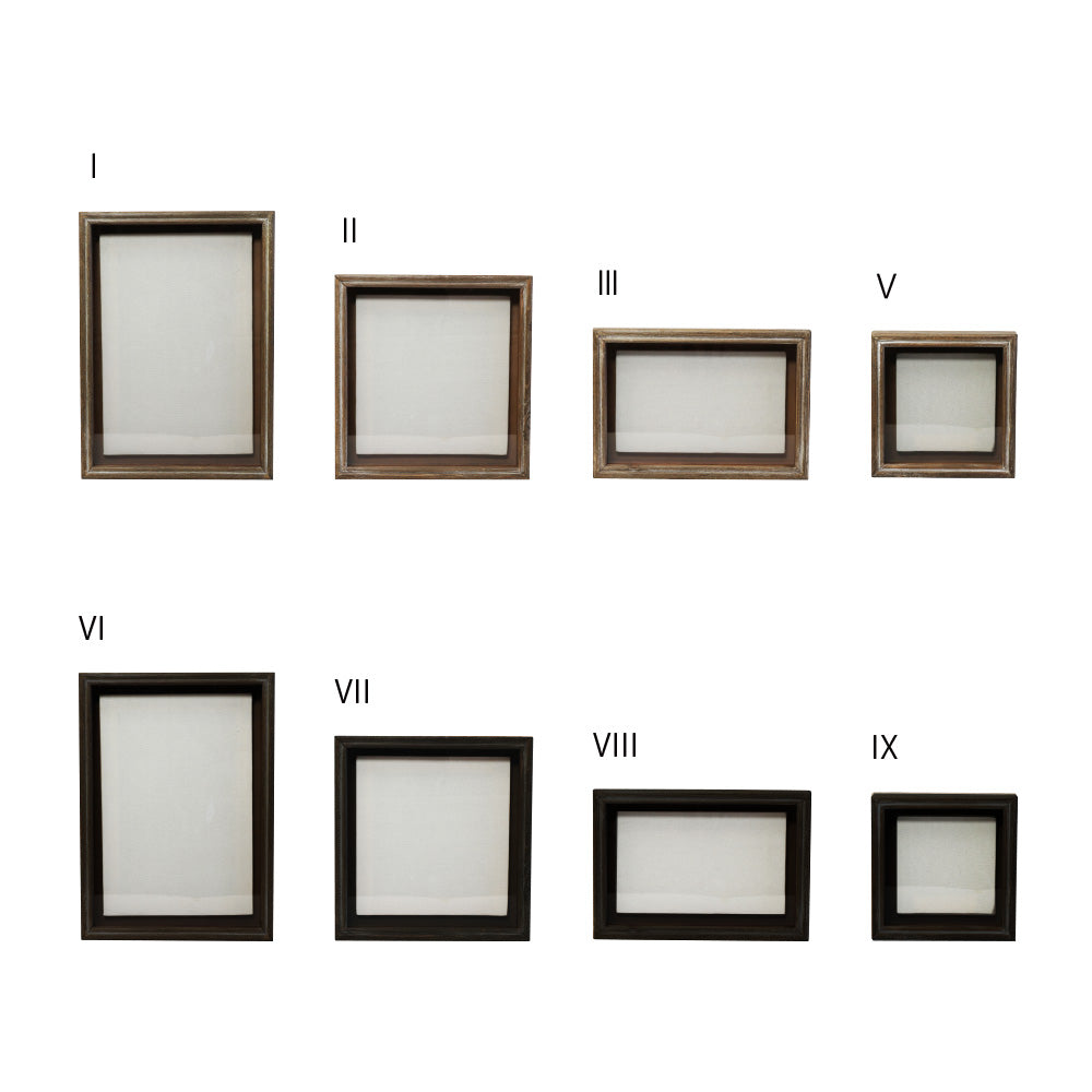 漢方標本フレーム 植物を飾れば標本が出来上がるフレーム Specimen Frame