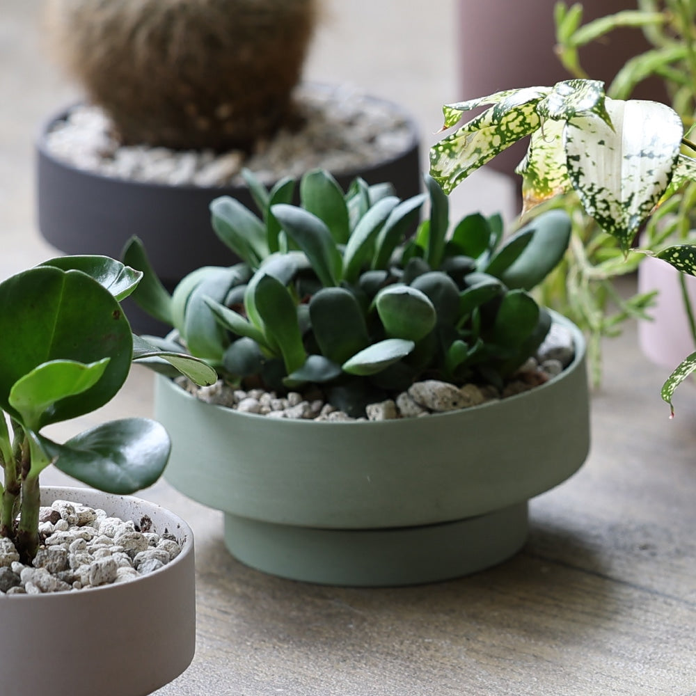 BKB セラミックス ★Rustic pedestal 　鉢　プランター 48％OFF！】セラミックのドライな質感、近代建築を思わせる