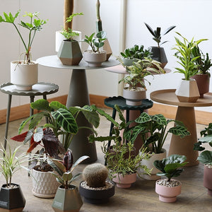 【48％OFF！】セラミックのドライな質感、近代建築を思わせるフォルムの鉢 Stef（ステフ）