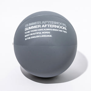 シンプルでオシャレなビーチボール SWIMMING BALL
